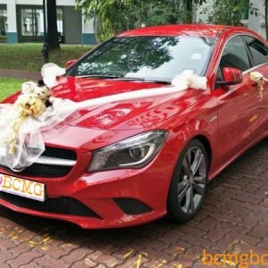 Exclusive wedding cars service in Dhaka