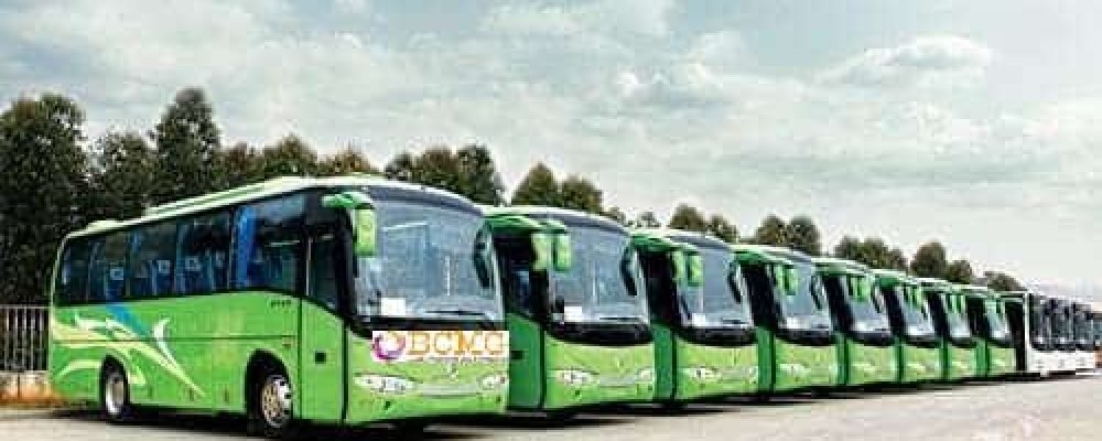 20110125154921438 20110125154921438