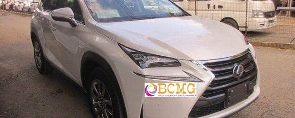 28379262_10214561021234234_8448286305737110595_n 28379262_10214561021234234_8448286305737110595_n