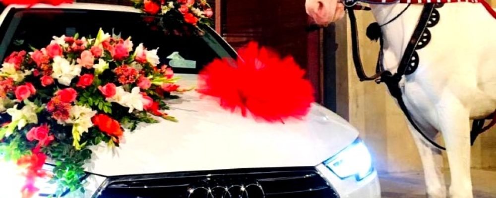 Wedding Car Hire in Uttara Dhaka. Luxury Wedding Car Rent for Marriage in Bangladesh. Also Provide All Variants Cars Wedding Car Hire in Uttara Dhaka. Luxury Wedding Car Rent for Marriage in Bangladesh. Also Provide All Variants Cars